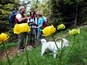 Solstizio d’estate …freschissimo alla Grotta dei Pagani in Presolana il 21 giugno 2014 - FOTOGALLERY